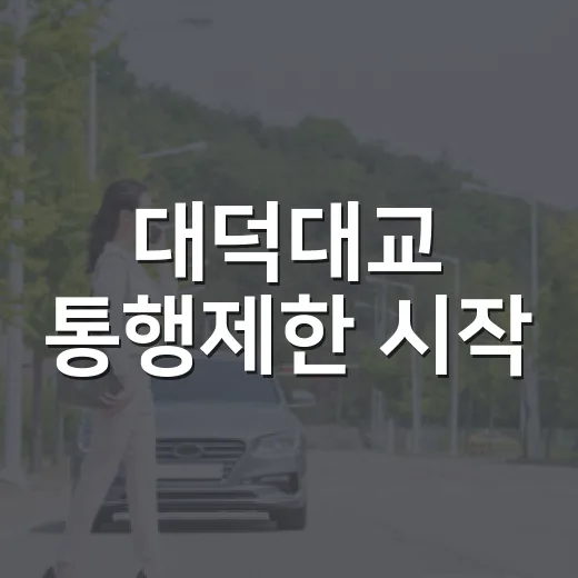 대덕대교 통행제한 시작