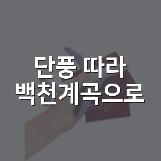 단풍 따라 백천계곡으로