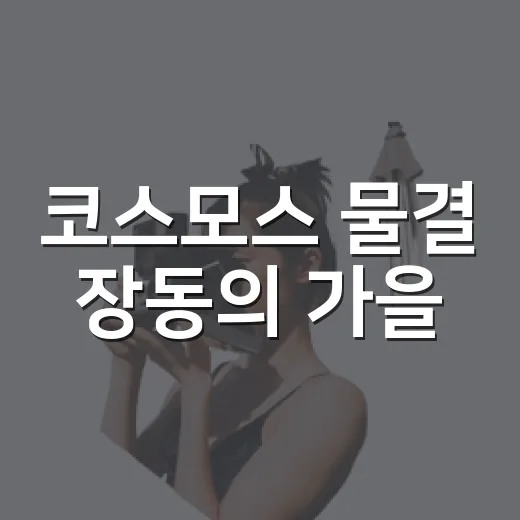 코스모스 물결 장동의 가을