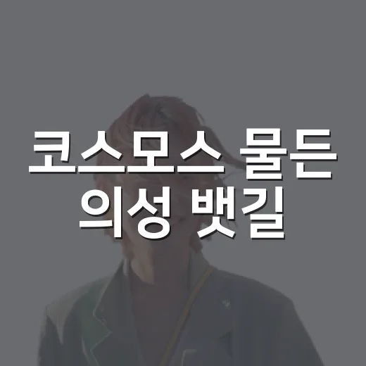 코스모스 물든 의성 뱃길