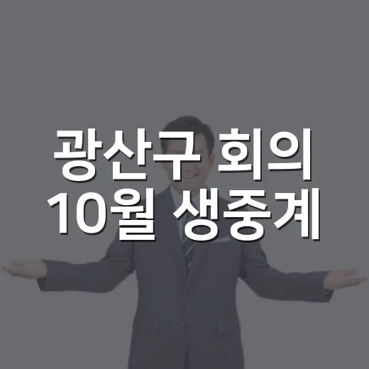 광산구 회의 10월 생중계