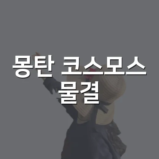 몽탄 코스모스 물결