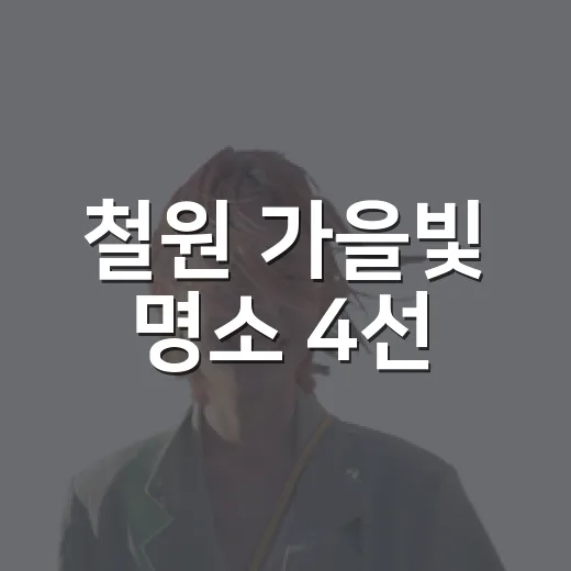 철원 가을빛 명소 4선