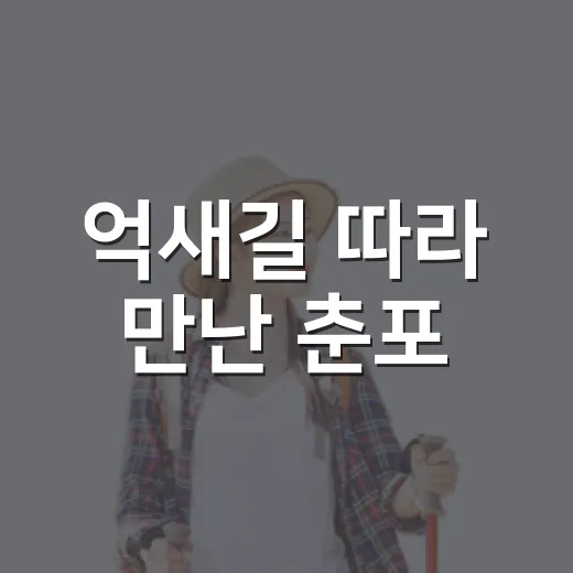 억새길 따라 만난 춘포