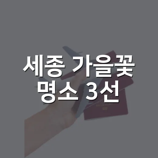 세종 가을꽃 명소 3선