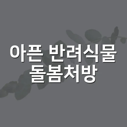 아픈 반려식물 돌봄처방