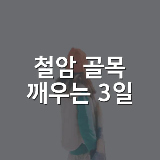 철암 골목 깨우는 3일