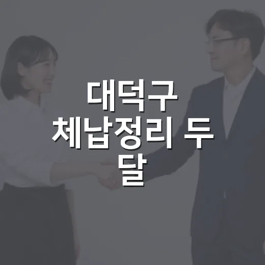 대덕구 체납정리 두 달
