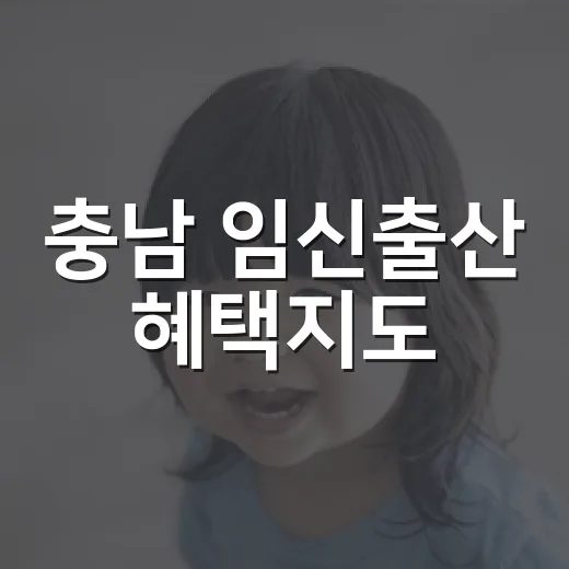 충남 임신출산 혜택지도