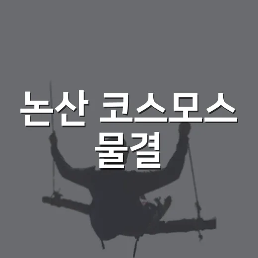 논산 코스모스 물결