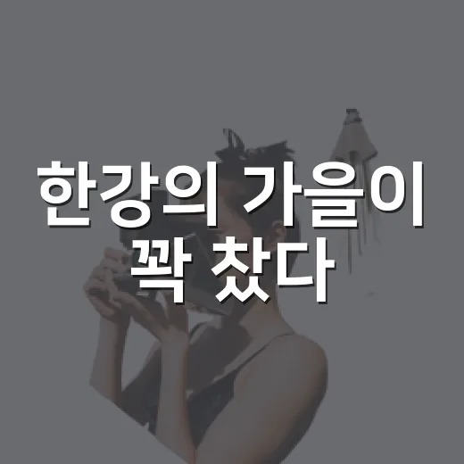 한강의 가을이 꽉 찼다