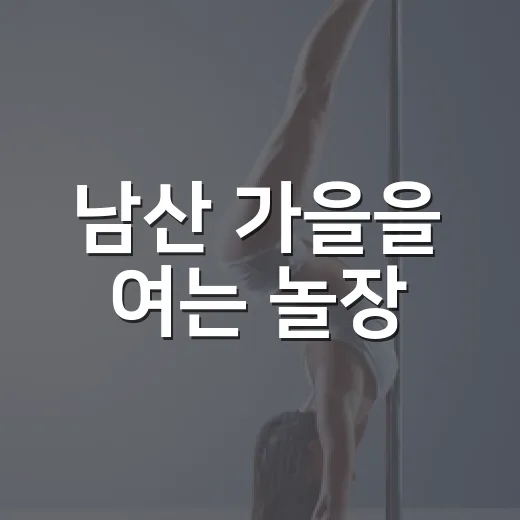 남산 가을을 여는 놀장