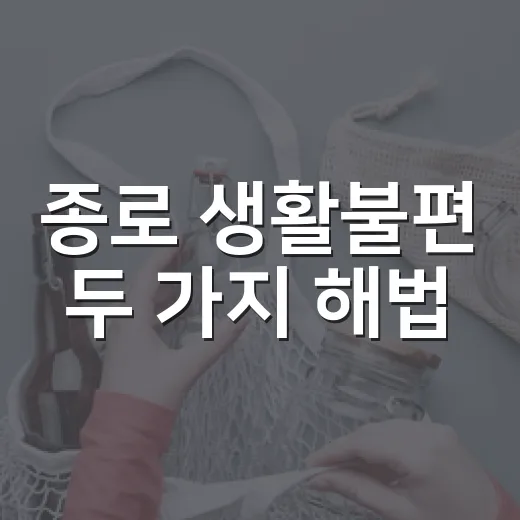 종로 생활불편 두 가지 해법