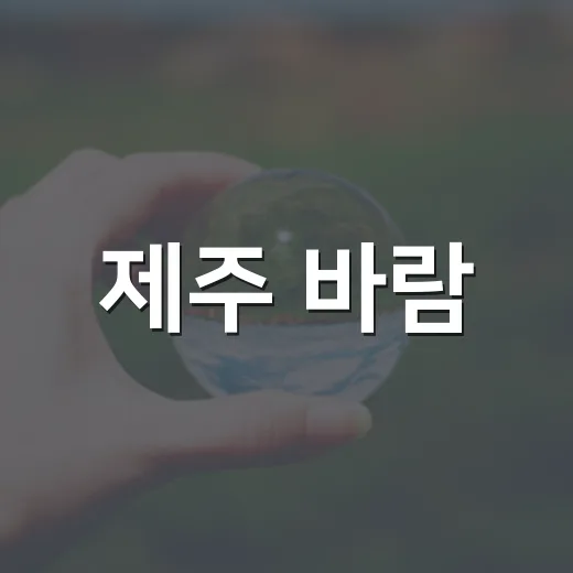 제주 바람, 미래산업으로
