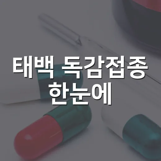 태백 독감접종 한눈에