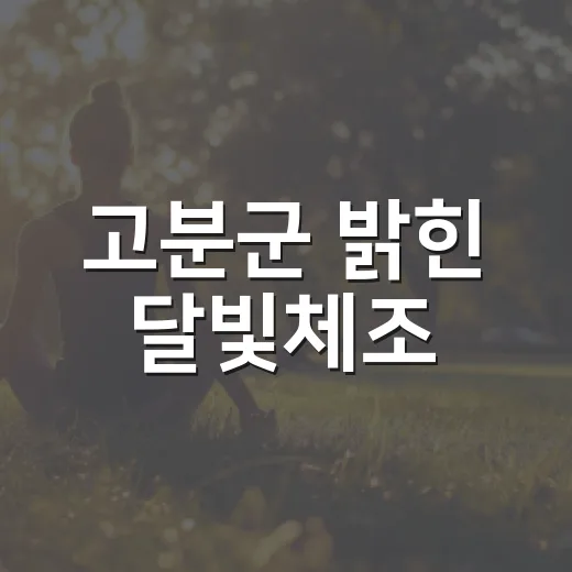 고분군 밝힌 달빛체조