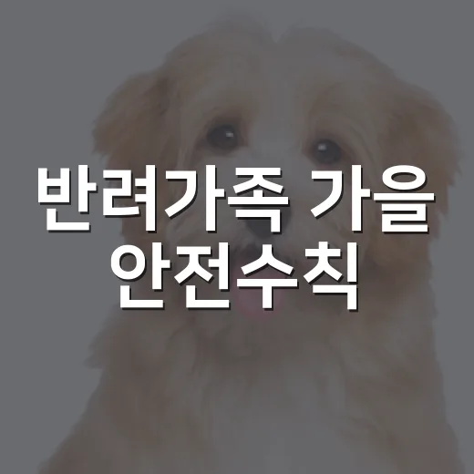 반려가족 가을 안전수칙