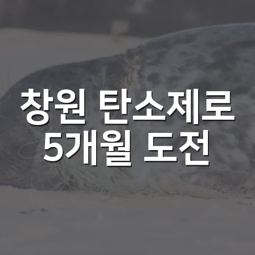 창원 탄소제로 5개월 도전
