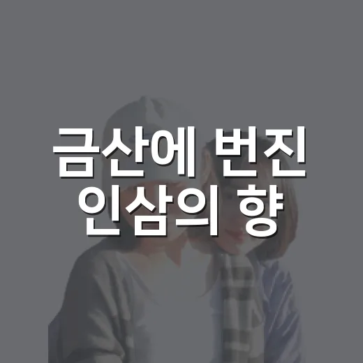 금산에 번진 인삼의 향