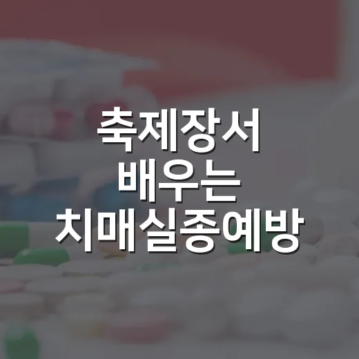 축제장서 배우는 치매실종예방