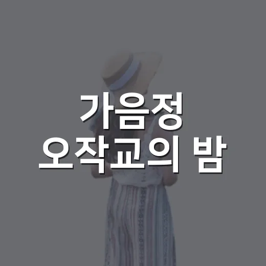 가음정 오작교의 밤