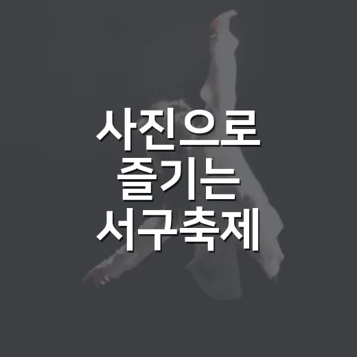 사진으로 즐기는 서구축제
