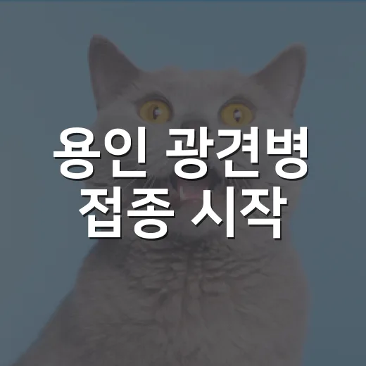 용인 광견병 접종 시작