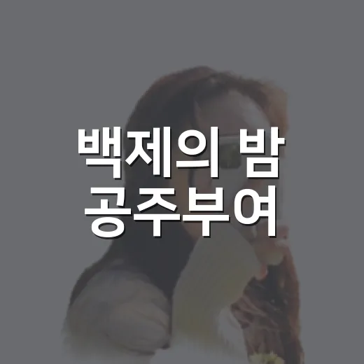 백제의 밤 공주부여