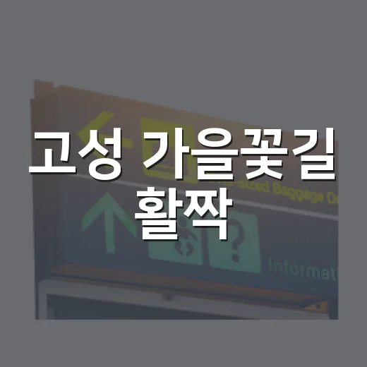 고성 가을꽃길 활짝