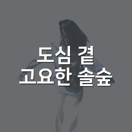 도심 곁 고요한 솔숲
