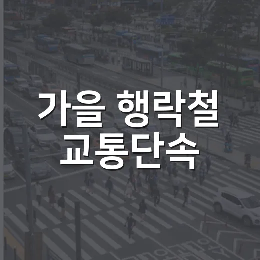 가을 행락철 교통단속, 11월 30일까지