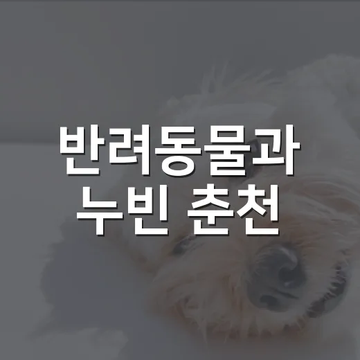 반려동물과 누빈 춘천