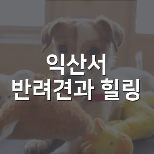 익산서 반려견과 힐링