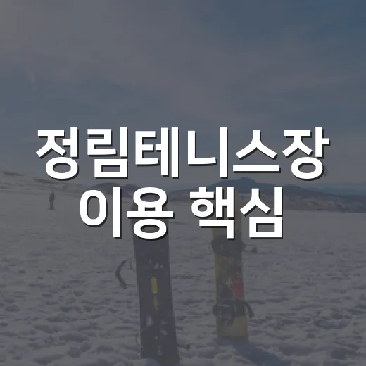 정림테니스장 이용 핵심