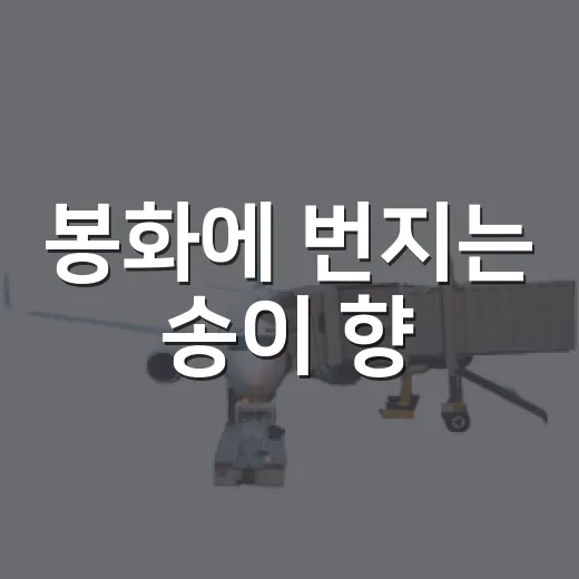 봉화에 번지는 송이 향