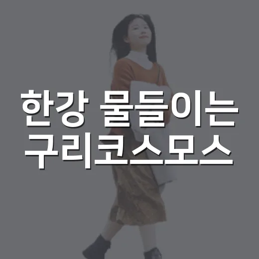 한강 물들이는 구리코스모스