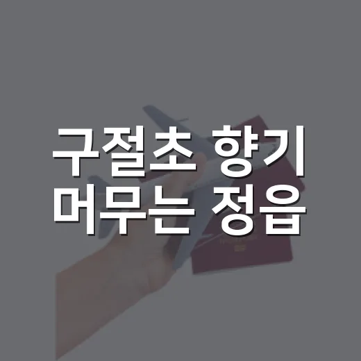구절초 향기 머무는 정읍