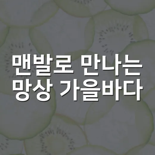 맨발로 만나는 망상 가을바다