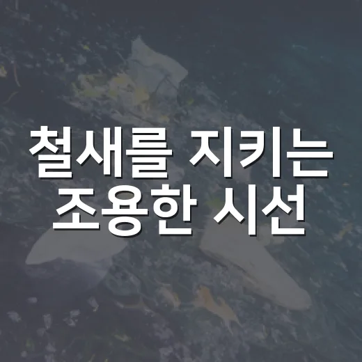 철새를 지키는 조용한 시선