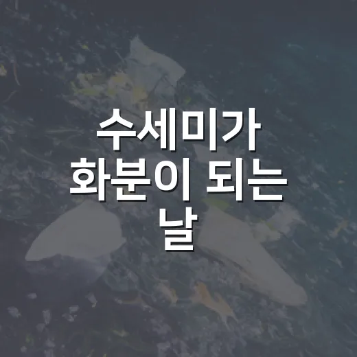 수세미가 화분이 되는 날
