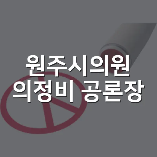 원주시의원 의정비 공론장