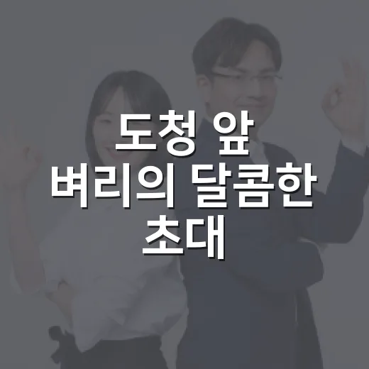 도청 앞 벼리의 달콤한 초대