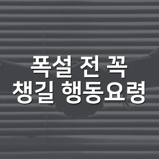 폭설 전 꼭 챙길 행동요령