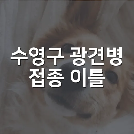 수영구 광견병 접종 이틀
