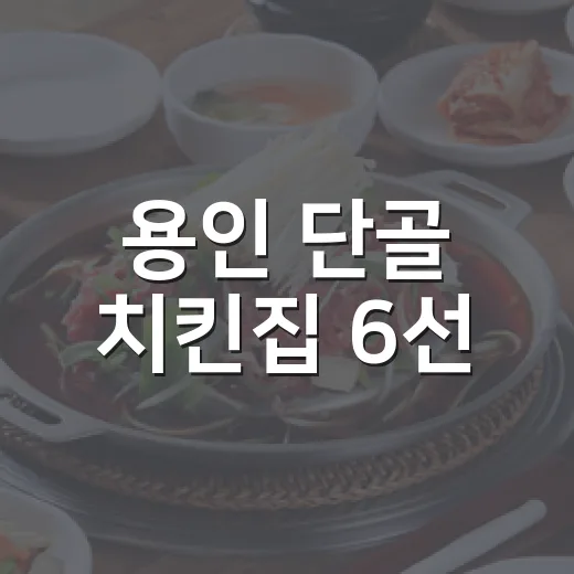 용인 단골 치킨집 6선