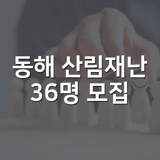 동해 산림재난 36명 모집