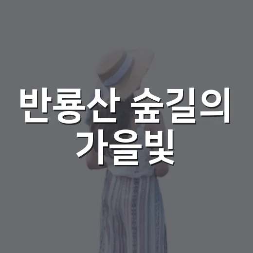 반룡산 숲길의 가을빛