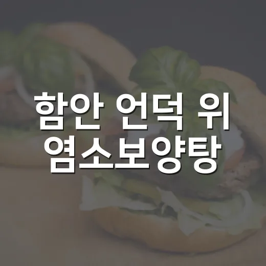 함안 언덕 위 염소보양탕