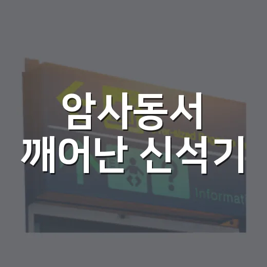 암사동서 깨어난 신석기