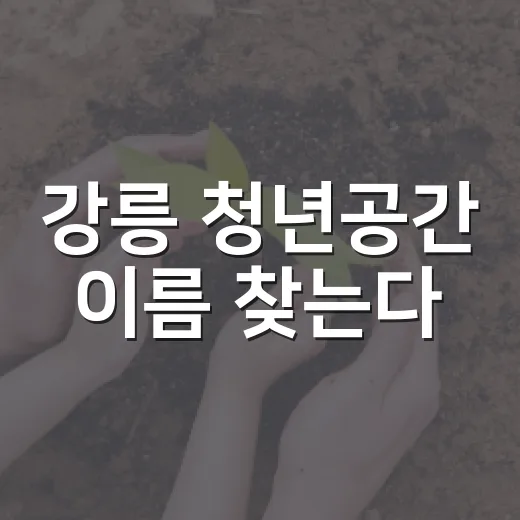 강릉 청년공간 이름 찾는다
